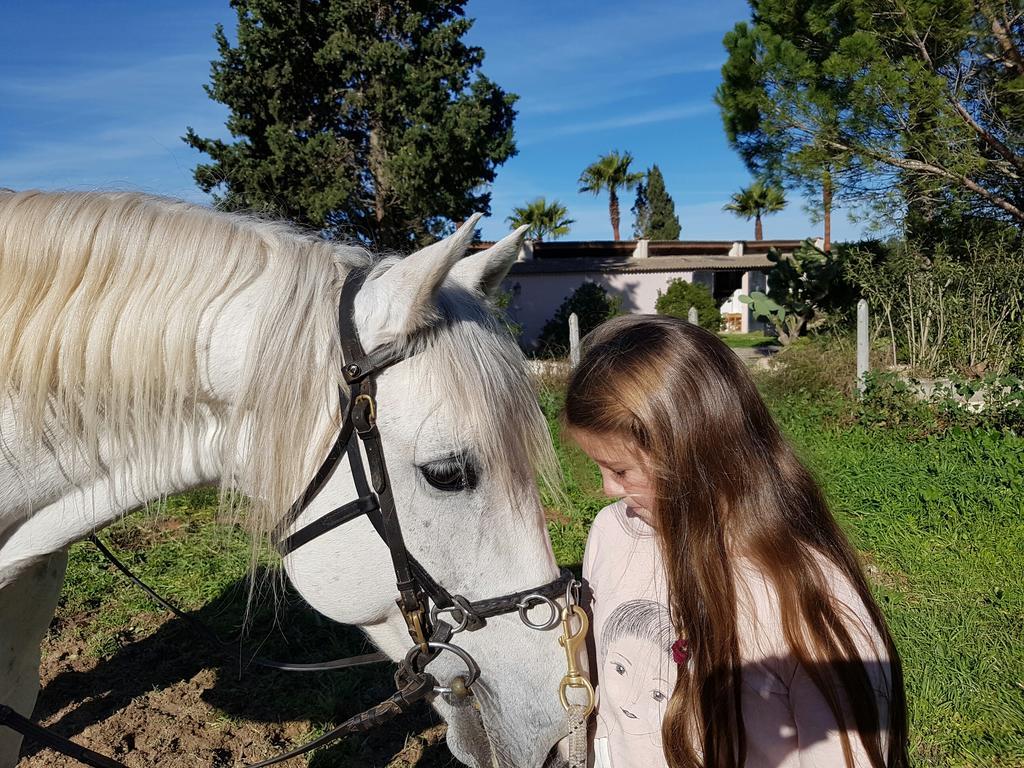 Finca Caballo Blanco Ξενοδοχείο Montuiri  Εξωτερικό φωτογραφία