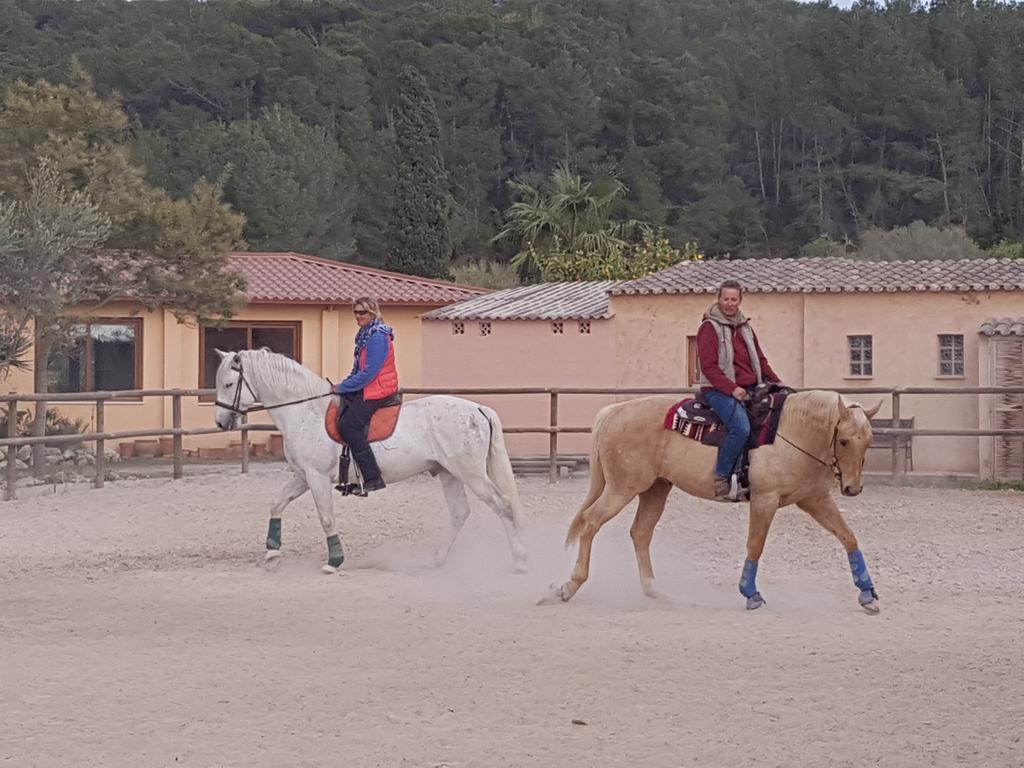 Finca Caballo Blanco Ξενοδοχείο Montuiri  Εξωτερικό φωτογραφία