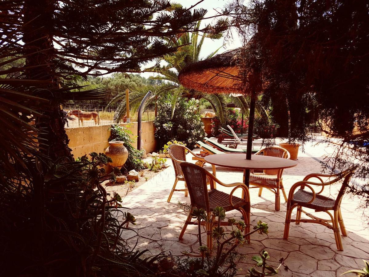 Finca Caballo Blanco Ξενοδοχείο Montuiri  Εξωτερικό φωτογραφία